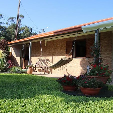 Casa Flor Da Laranjeira Guest House Ponte de Lima Exterior photo
